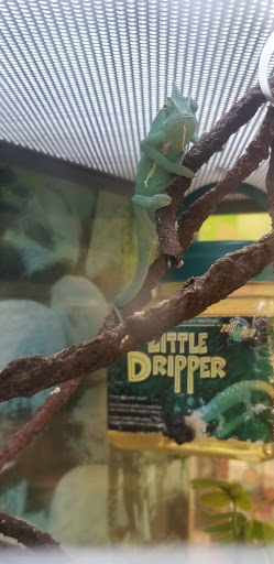 Pet Supply Store «Petco Animal Supplies», reviews and photos, 11331 W Broad St #151, Glen Allen, VA 23060, USA