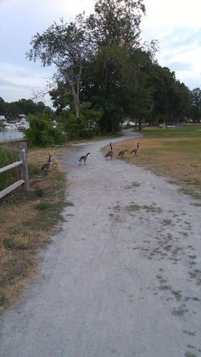 Water Park «Petersen Splash Pad at Watson Park», reviews and photos, Gordon Rd, Braintree, MA 02184, USA