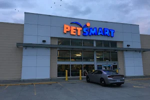 PetSmart image