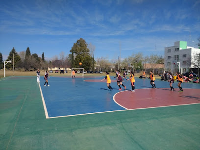 Campo de Deportes Colegio San Luis Gonzaga