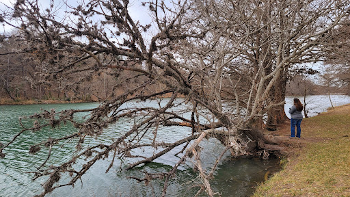 Corporate Office «Hill Country Arts Foundation», reviews and photos, 120 Point Theatre Rd S, Ingram, TX 78025, USA