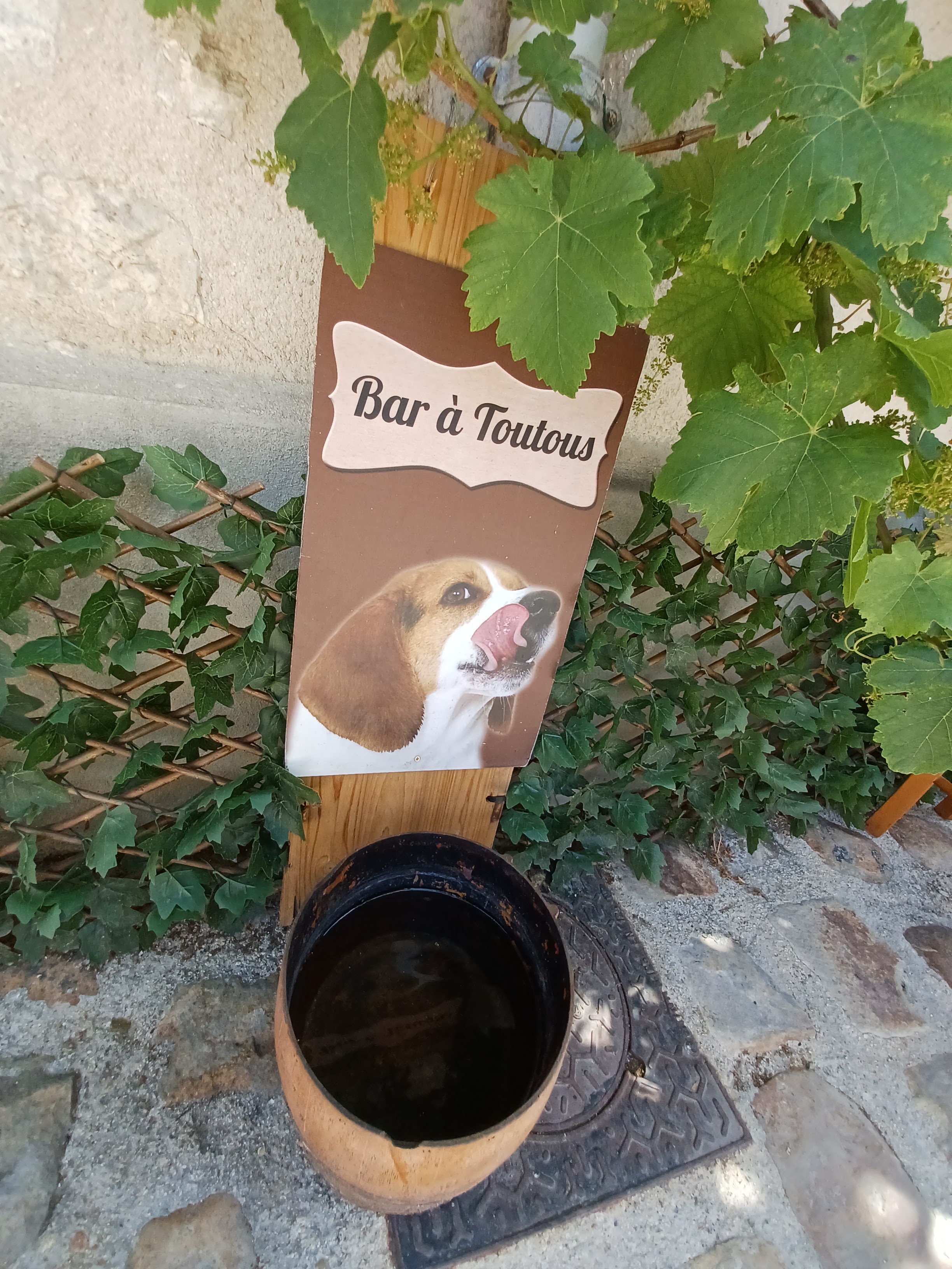 Photo n° 4 de l'avis de Pascale.o fait le 13/06/2022 à 18:07