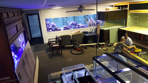 Pet Store «Sho Tank Aquariums», reviews and photos, 433 N Lake St, Mundelein, IL 60060, USA