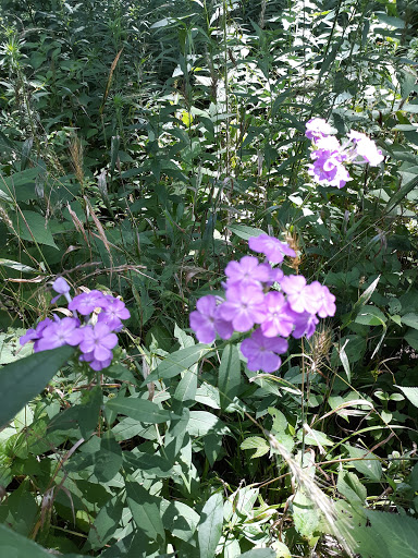 Park «DePauw Nature Park», reviews and photos, 1400 West County Road 125 South, Greencastle, IN 46135, USA