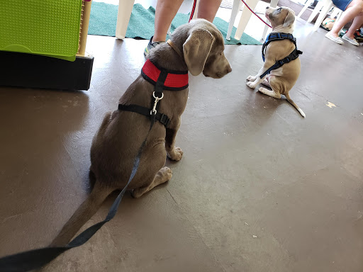 Pet Supply Store «3 Dogs and a Chick», reviews and photos, 130 Miracle Strip Pkwy SE, Fort Walton Beach, FL 32548, USA