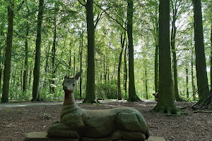 Art in the Forest - Speelbos
