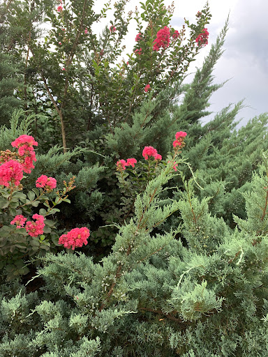 Recreation Center «J.P. Moseley Recreation Center-North Henry Tigers», reviews and photos, 1041 Millers Mill Rd, Stockbridge, GA 30281, USA