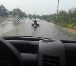 Pescadería El Dorado photo