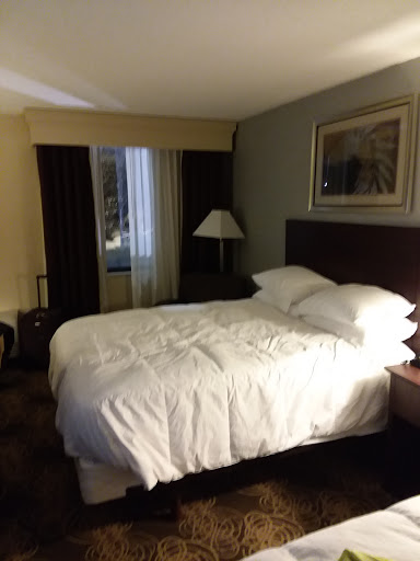 Hotel «DoubleTree by Hilton Hotel Rocky Mount», reviews and photos, 651 N Winstead Ave, Rocky Mount, NC 27804, USA