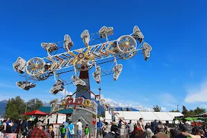 Alaska State Fair Inc image