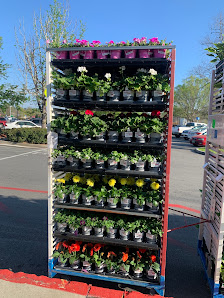 Walmart Supermercado 3274 Inner Perimeter Rd, Valdosta, GA 31602