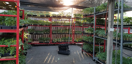 Produce Market «Parkway Produce», reviews and photos, 2601 Preston Hwy, Louisville, KY 40217, USA