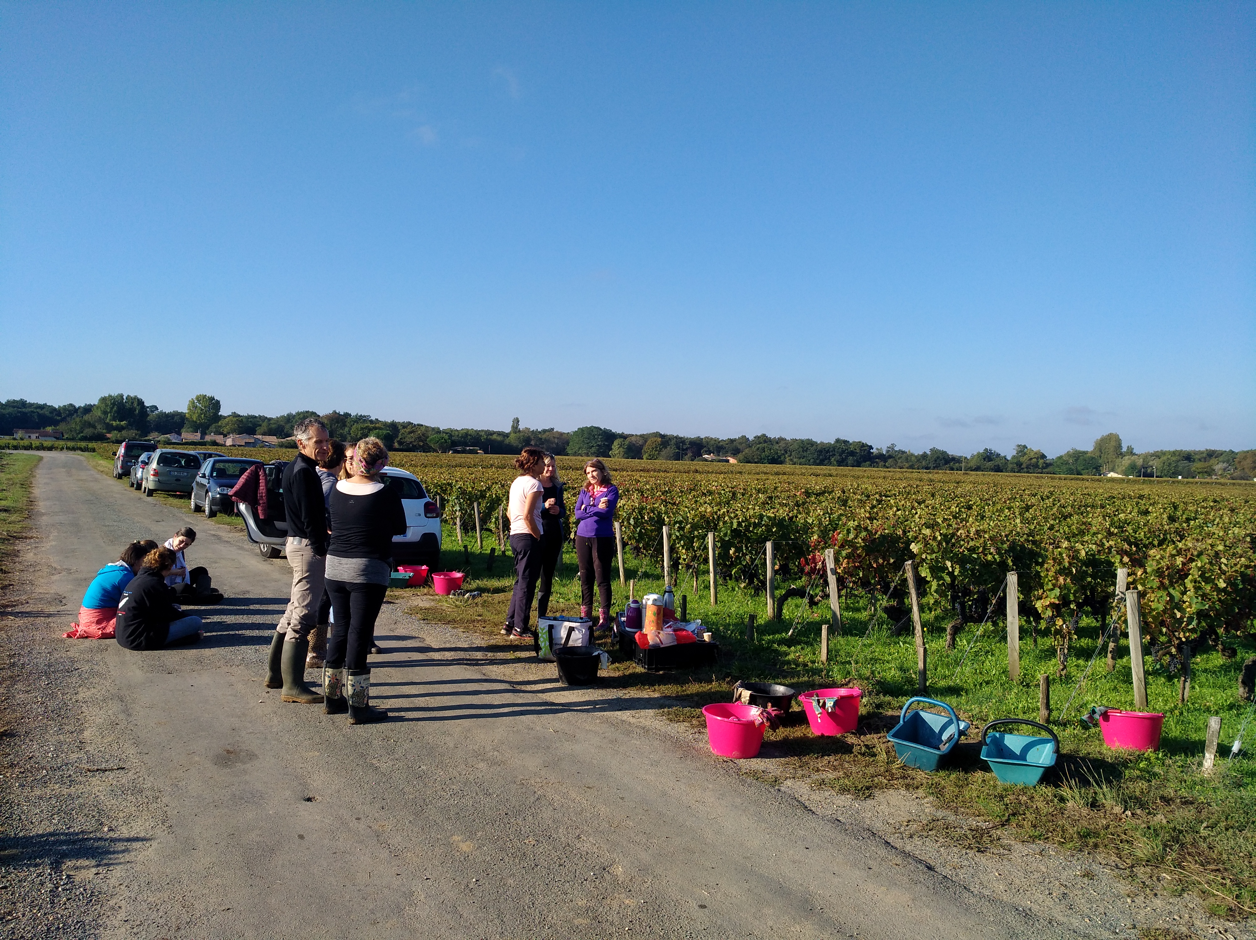 Photo n° 2 de l'avis de Jean-Pierre.I fait le 11/10/2021 à 20:23