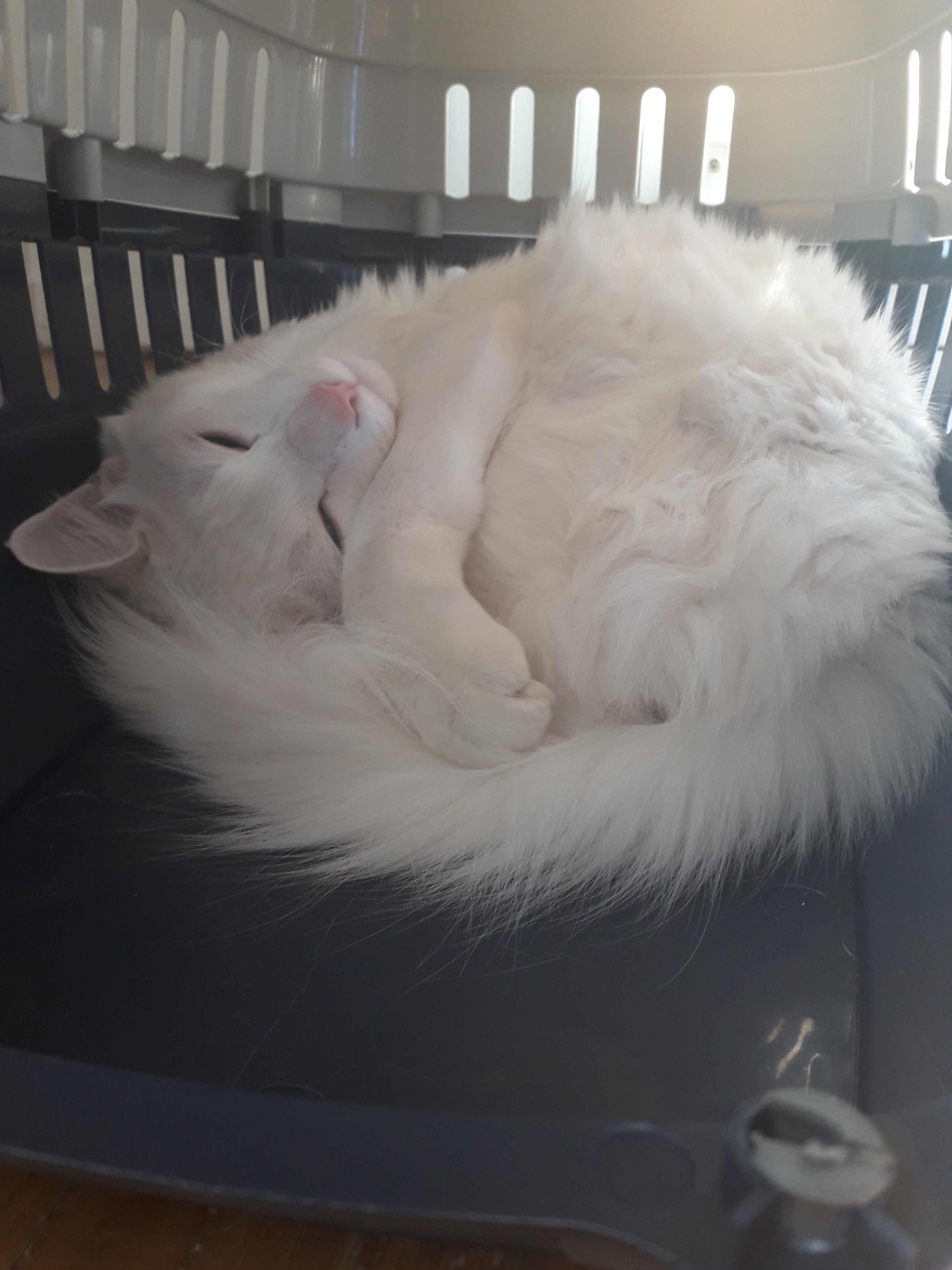 Photo n° 1 de l'avis de Kayla.b fait le 09/12/2018 à 10:02