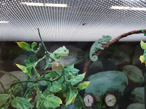 Pet Supply Store «Petco Animal Supplies», reviews and photos, 3430 W State St, Grand Island, NE 68803, USA