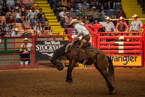 Tourist Attraction «Stockyards Championship Rodeo», reviews and photos, 121 E Exchange Ave, Fort Worth, TX 76164, USA