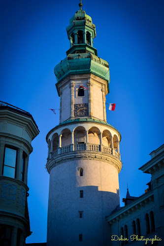 Értékelések erről a helyről: Döbör Photographic, Sopron - Fényképész