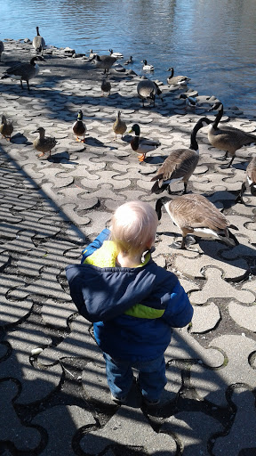 Park «Lake Shore Park», reviews and photos, 9610 E Shore Dr, Oak Lawn, IL 60453, USA