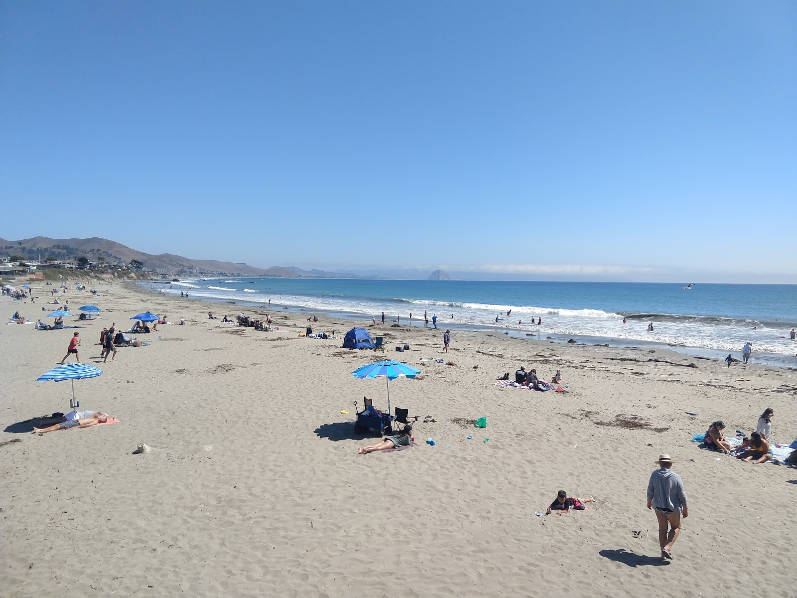 Φωτογραφία του Cayucos Beach με τυρκουάζ νερό επιφάνεια