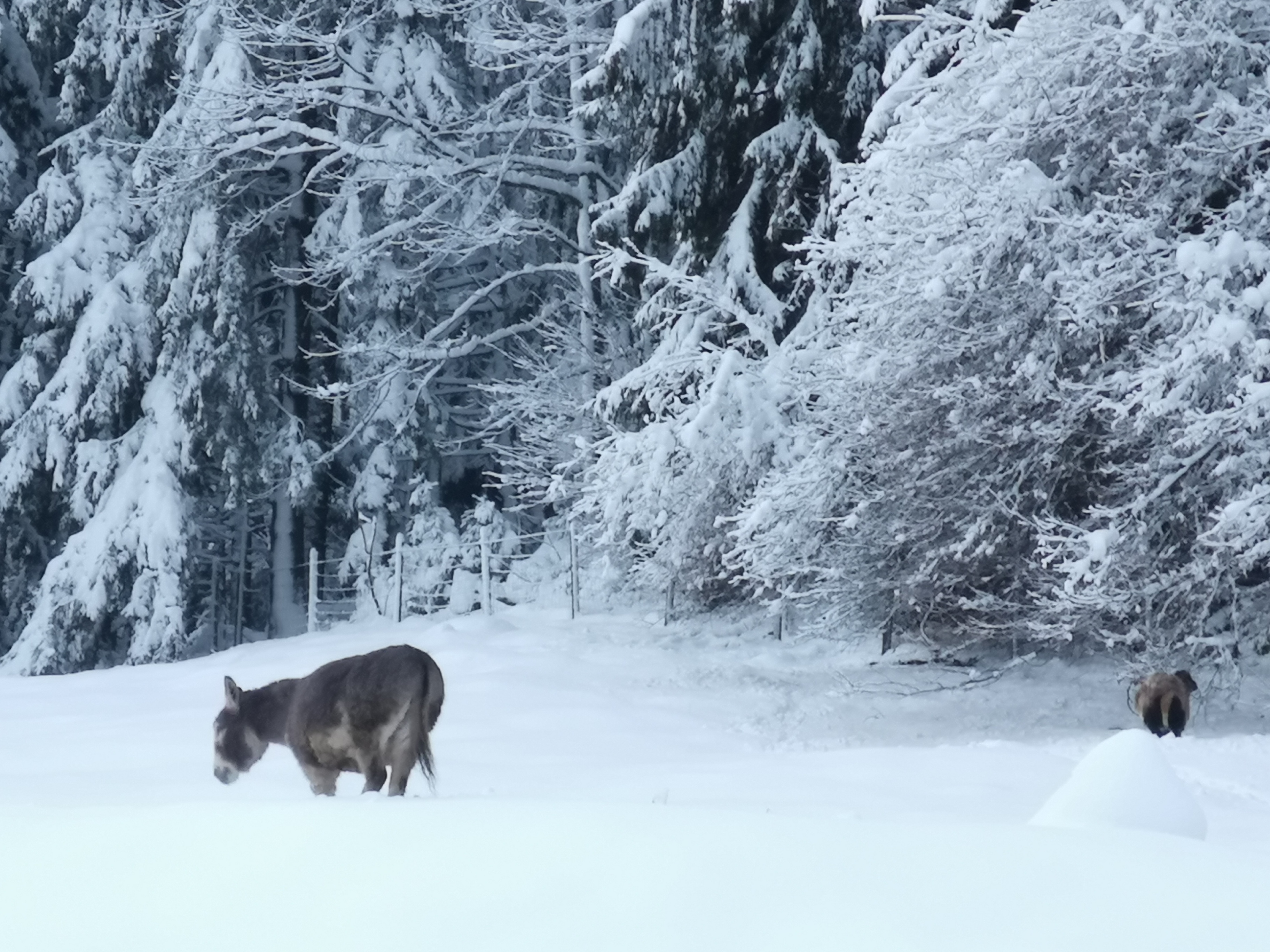 Photo n° 2 de l'avis de MsGexman. fait le 30/12/2020 à 09:22