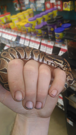 Pet Supply Store «Pet Supplies Plus», reviews and photos, 1237 Concord Pkwy N, Concord, NC 28025, USA