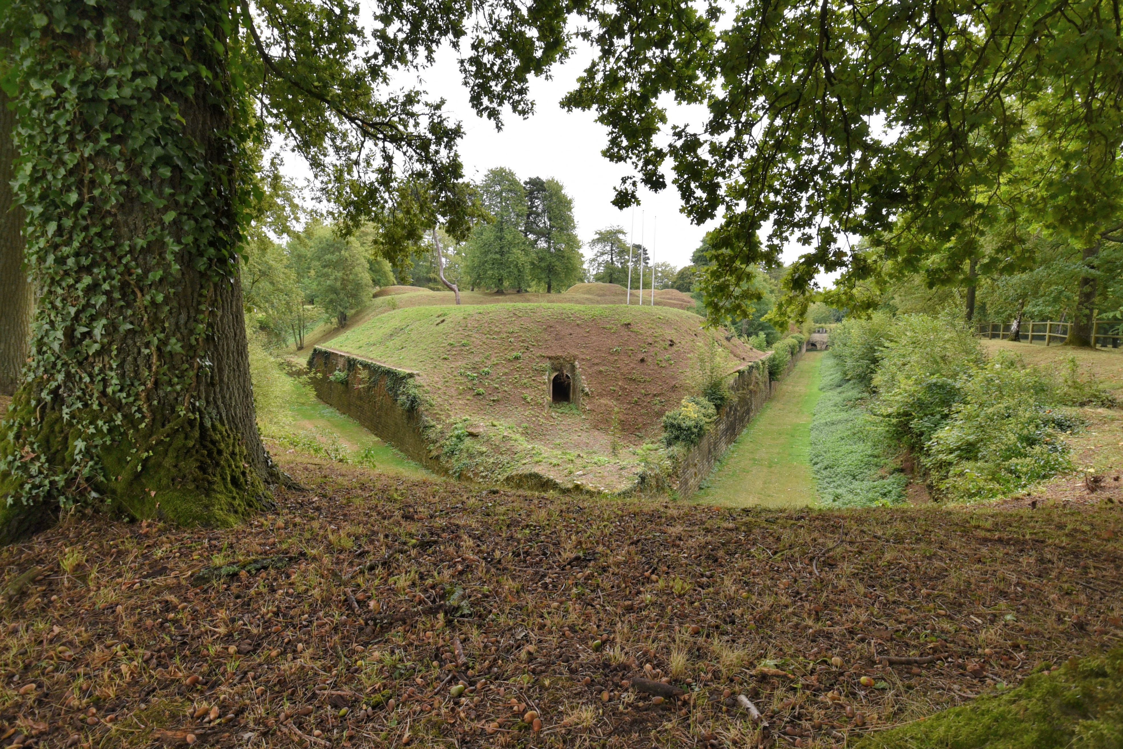 Photo n° 20 de l'avis de Ludovic.n fait le 13/09/2022 à 19:12