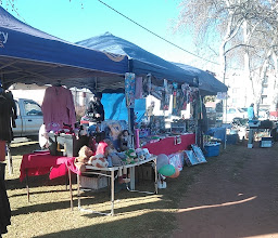 Florida Lake Flea Market photo