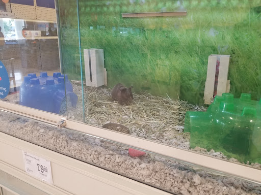 Pet Supply Store «PetSmart», reviews and photos, 3450 N Morrison Rd, Muncie, IN 47304, USA