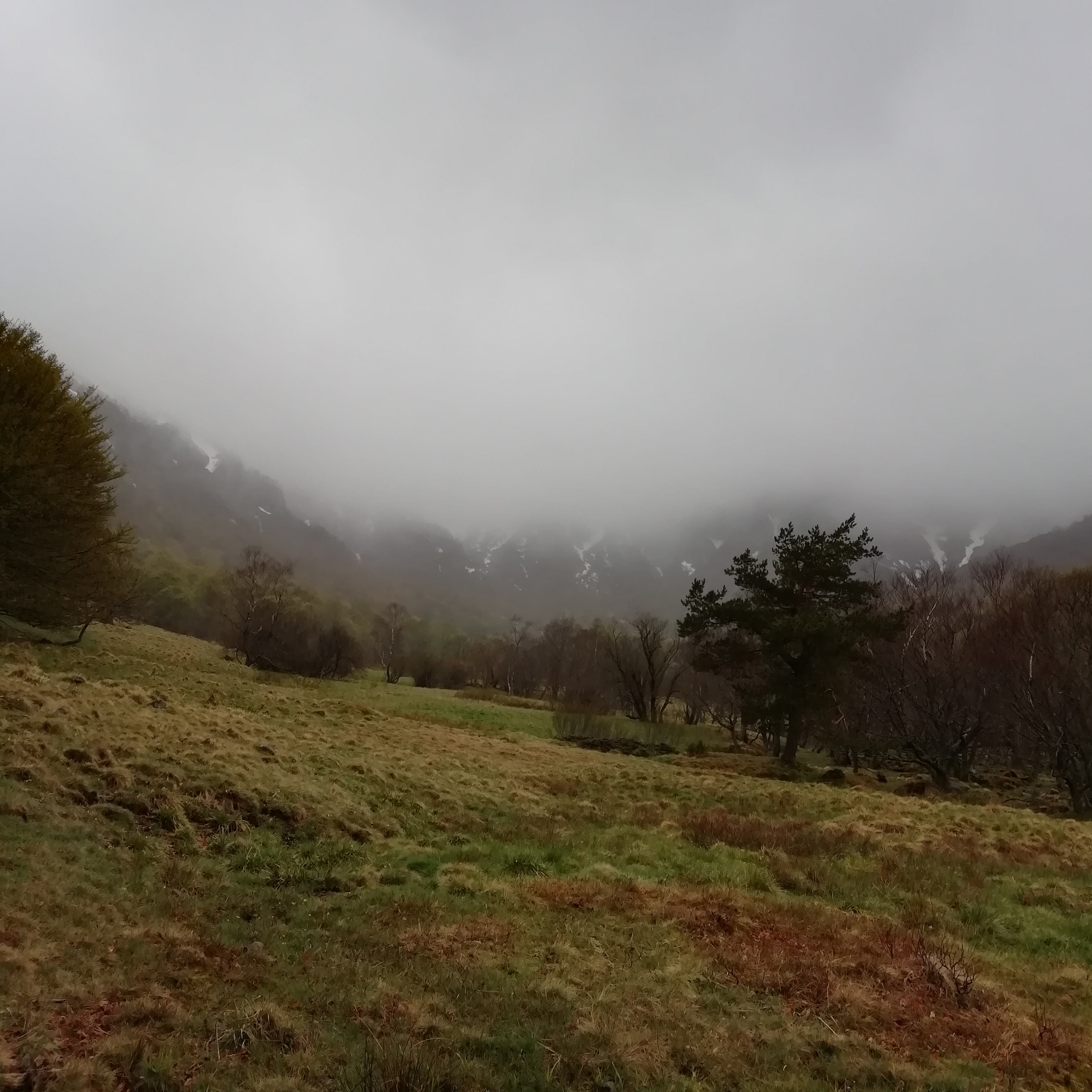 Photo n° 1 de l'avis de saux.o fait le 19/05/2019 à 14:55