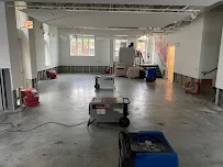 Cornerstone Cleaning & Restoration, Inc. - Car repair in Lombard, IL, Elgin - Rated 5.0/5