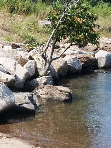 City Park «Lighthouse Point Park», reviews and photos, 2 Lighthouse Rd, New Haven, CT 06512, USA