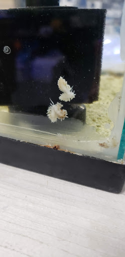 Tropical Fish Store «Marine Solutions», reviews and photos, 20 Triad S Dr, St Charles, MO 63304, USA