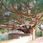 Photo n°4 de l'avis de andrea.i fait le 08/04/2024 à 13:57 sur le  Locanda Di Villa Torraccia à Pesaro