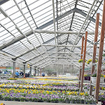 Photo n°1 de l'avis de Manuela.i fait le 25/03/2024 à 22:20 sur le  Gartencenter Rosengut Langerwisch GmbH&Co.KG à Michendorf