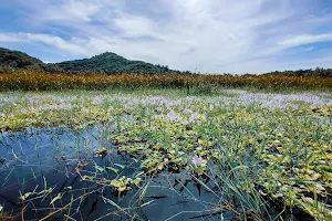 Danau Yeh Malet image