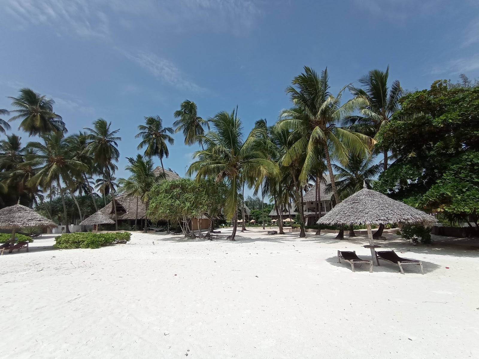 Photo de Pongwe Beach avec #44