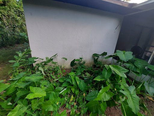 Roofing Contractor «Bowles Roofing», reviews and photos, 5891 SE 78th St, Ocala, FL 34472, USA