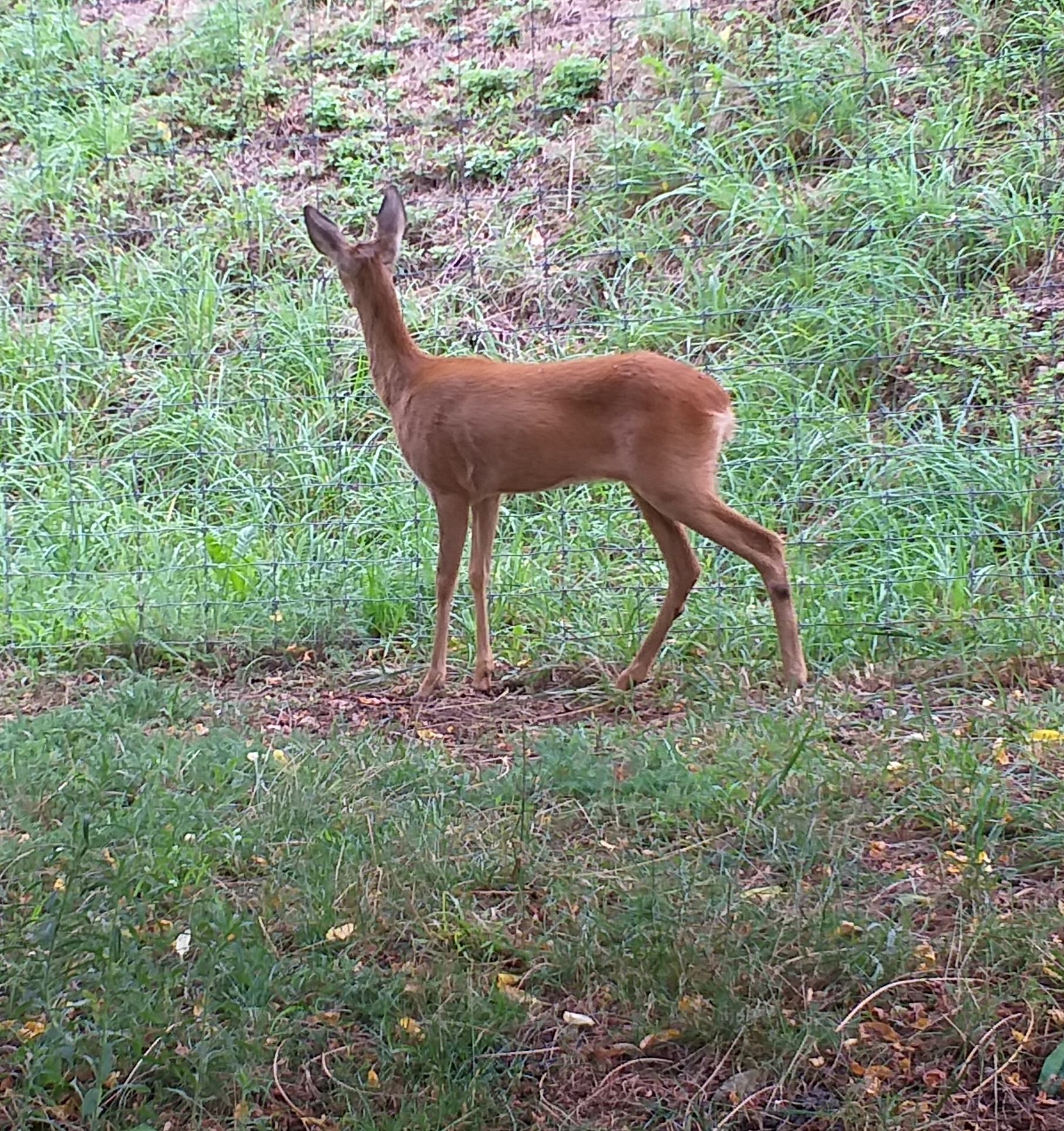 Photo n° 5 de l'avis de Caroline.e fait le 11/08/2019 à 21:48