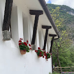 Photo n°7 de l'avis de SannyLofer. fait le 16/08/2022 à 21:27 sur le  Osteria alla Soffia à Sospirolo