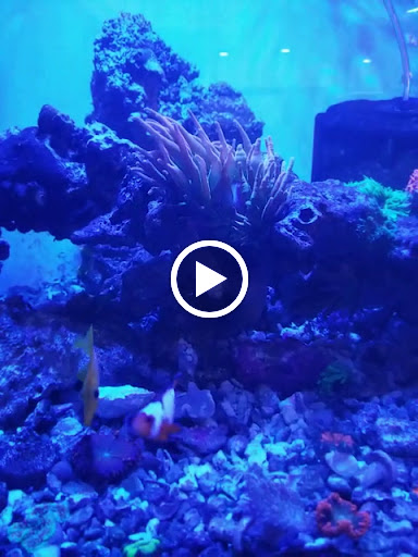 Tropical Fish Store «Wet Pets», reviews and photos, 520 Hartford Turnpike # X, Vernon, CT 06066, USA