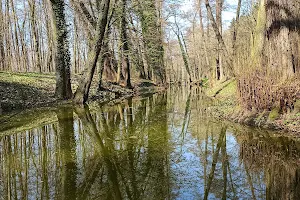 Park Ostrov image