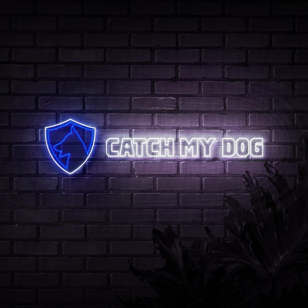 Catch My Dog