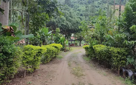 T. L. Angami Park image