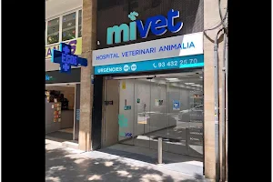 Hospital Veterinari Animalia | MiVet image