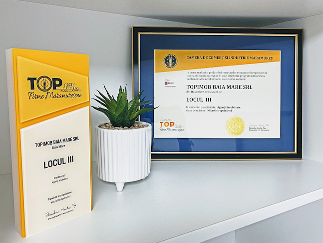 orar Top Imobiliare Baia Mare