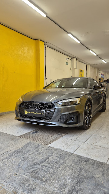 Auto Spa Valencia - car workshop in Valencia, Quatre Carreres