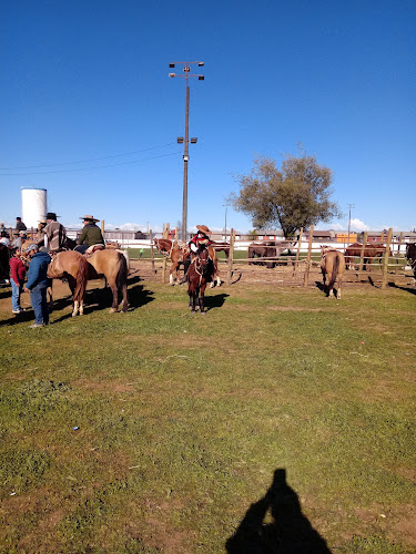 Estadio Fiscal Nelson Valenzuela Rojas - Tienda de deporte