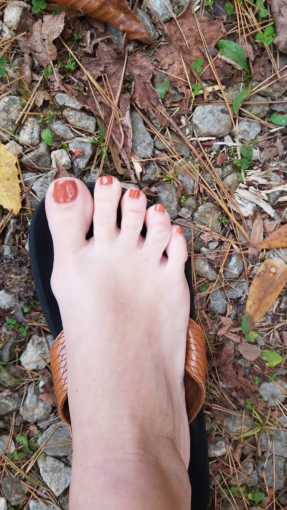 Nail Thology 38804