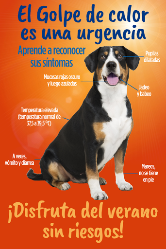Clínica Veterinaria Doctor Vet. Veterinario de Urgencias Para Tus Mascotas. en Vilanova del Vallès