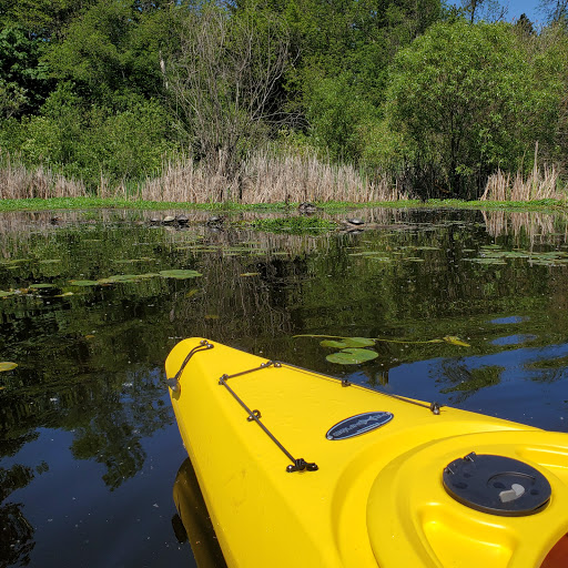 Botanical Garden «Washington Park Arboretum - UW Botanic Gardens», reviews and photos, 2300 Arboretum Dr E, Seattle, WA 98112, USA